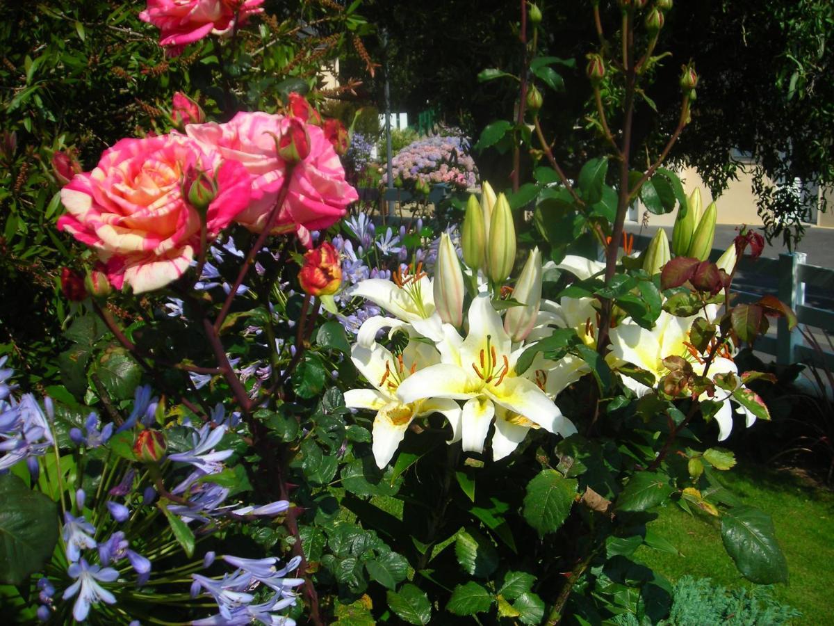 Les Hydrangeas Bed & Breakfast Plougastel-Daoulas Exterior photo